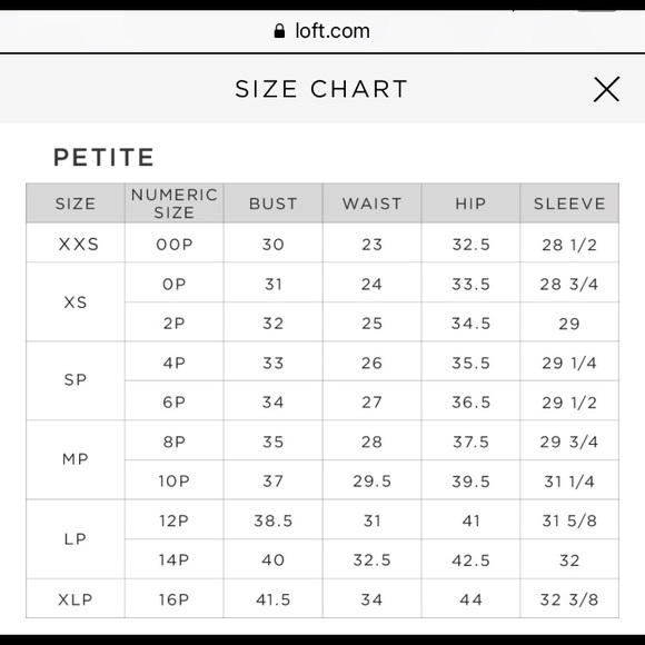 LOFT Softened Chambray Shirtdress - Petite - Picture 4 of 4